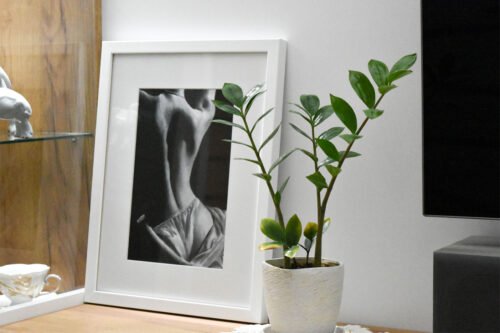 Amor sui photo review